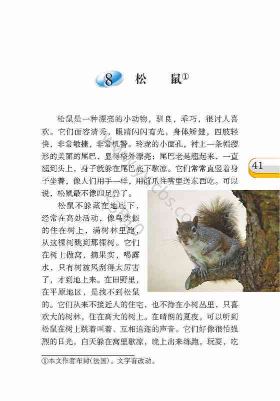 松鼠观察日记：600字详尽描绘松鼠的生活性及趣事