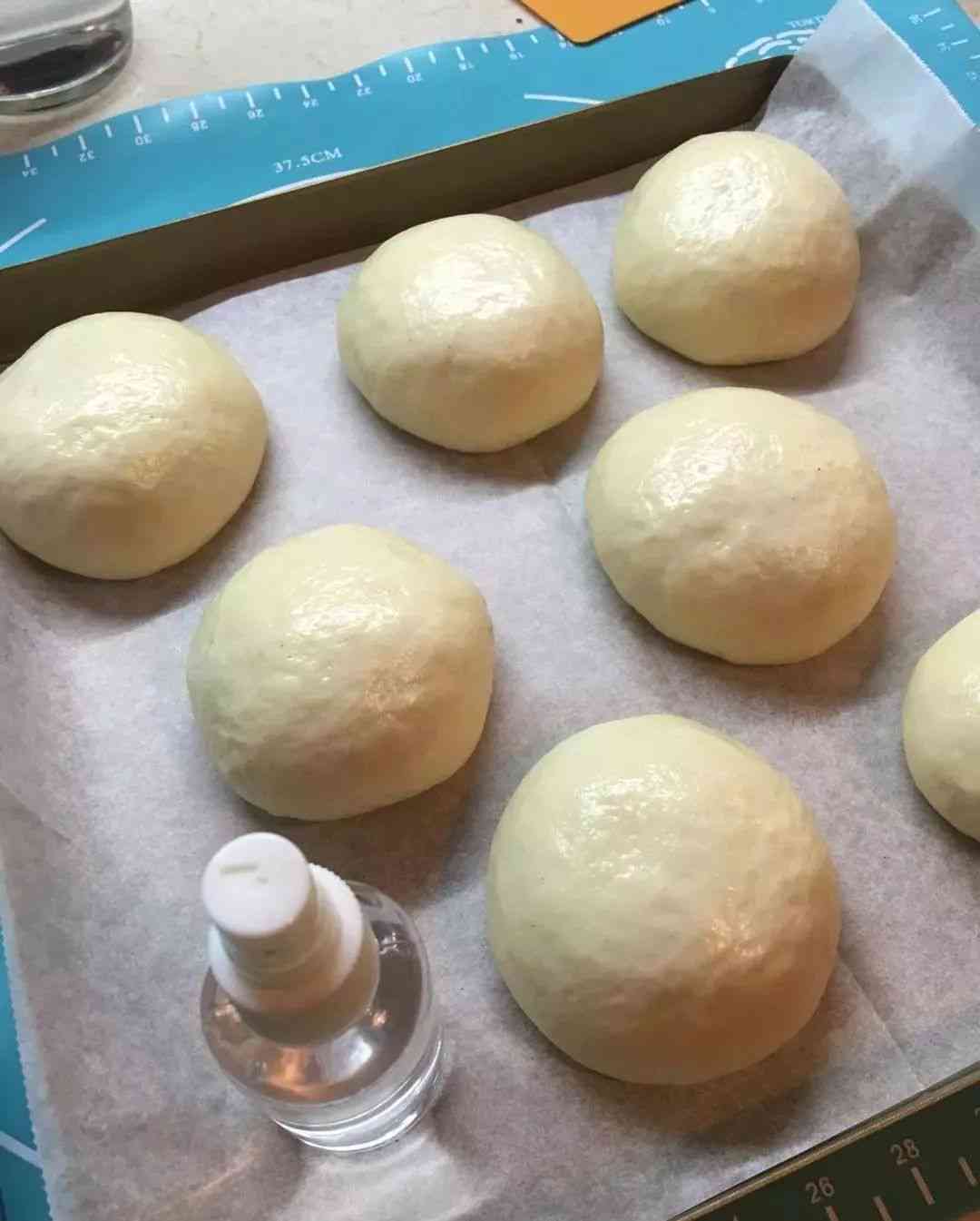 关于豆包的朋友圈：豆馅包豆包的搞笑说说集锦