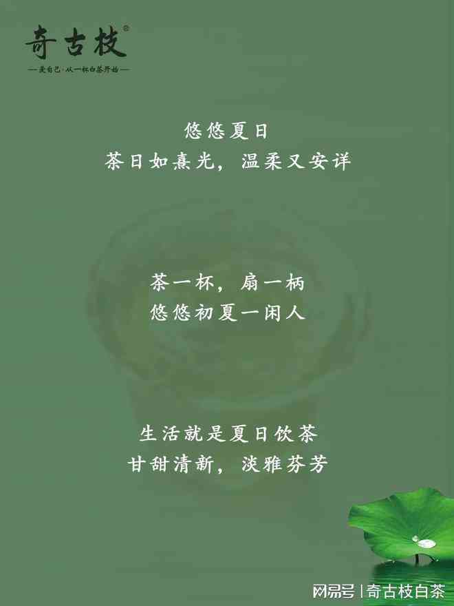融入诗意生活的茶语佳句：经典茶文案精选集锦