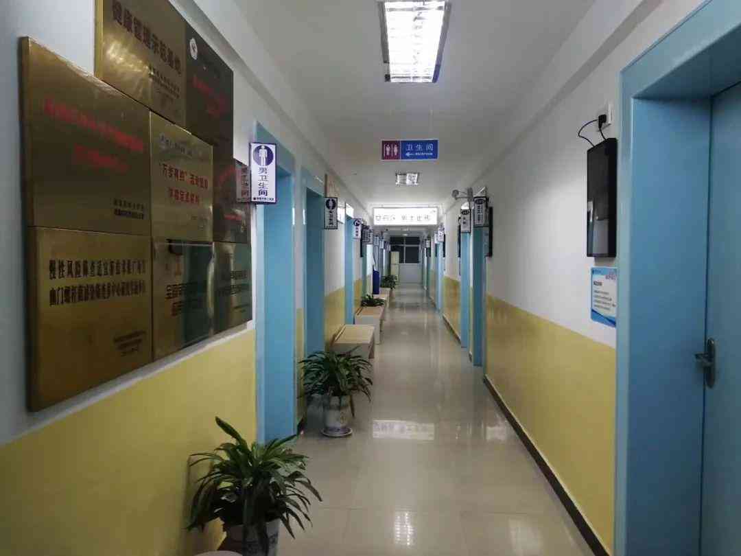 深度解析：叫号AI实验报告与心得体会总结——涵功能、应用与实际效果评估