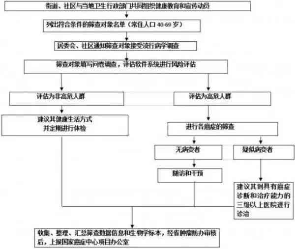 详尽解析：平安AI云面试全流程报告与潜在风险评估