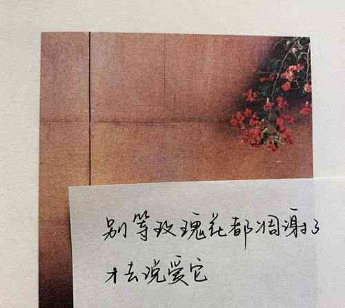 文案句子：简短摘抄合集与短句精选