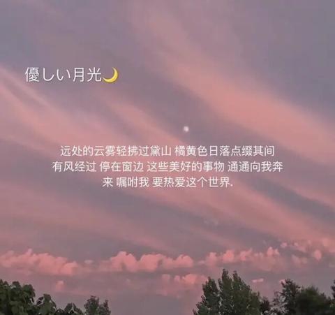 写真文案：高级感小众句子，朋友圈经典短句，干净治愈，个人独特治愈系表达