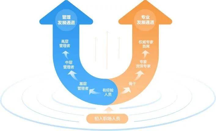 ai写作免费职业生涯规划怎么做：打造个性化职业发展方案全解析