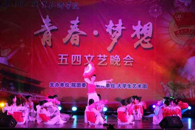 舞动精彩，舞姿绽放：一起感受舞蹈的魅力文案分享
