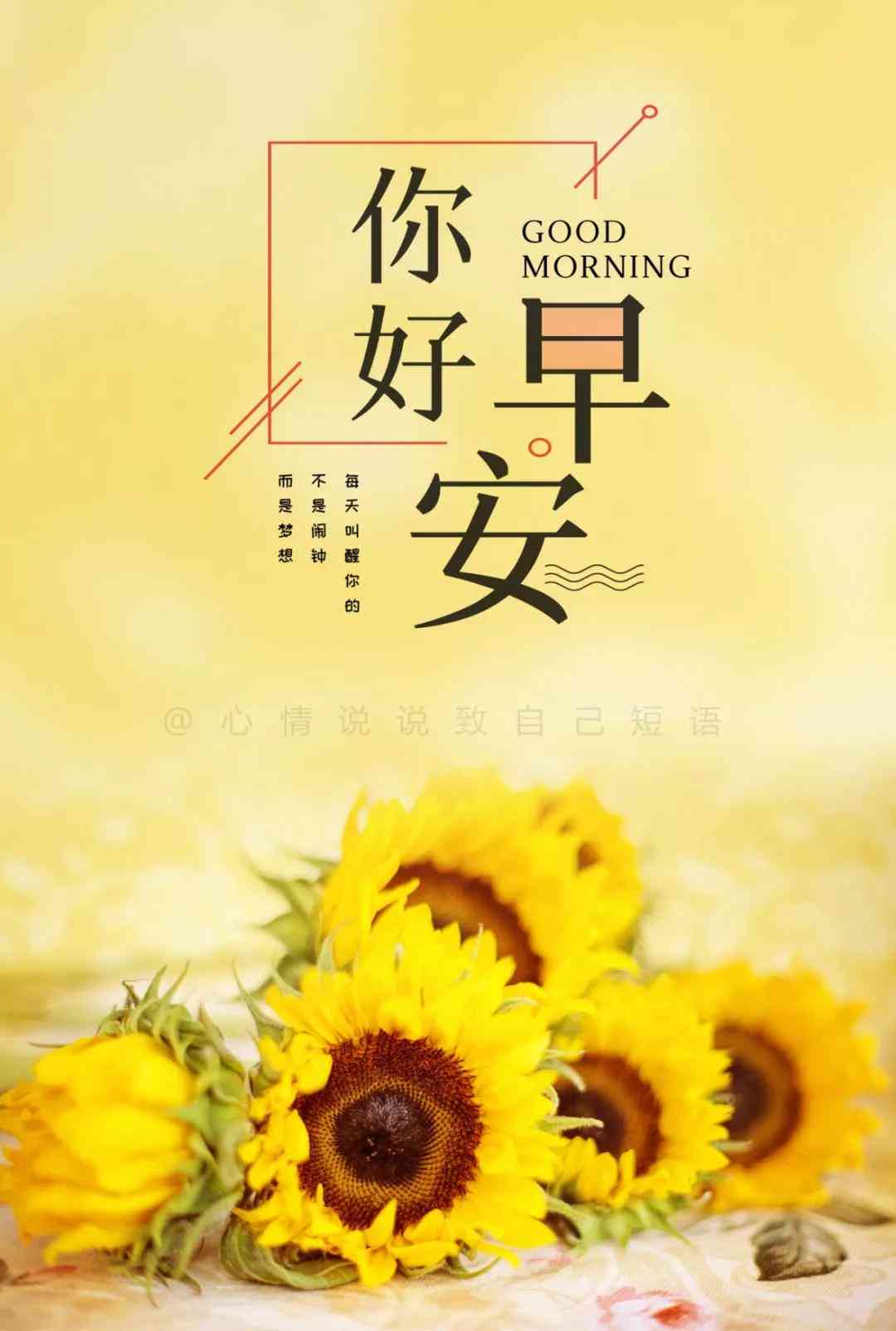 闪闪说说是什么意思：揭秘网络用语背后的含义