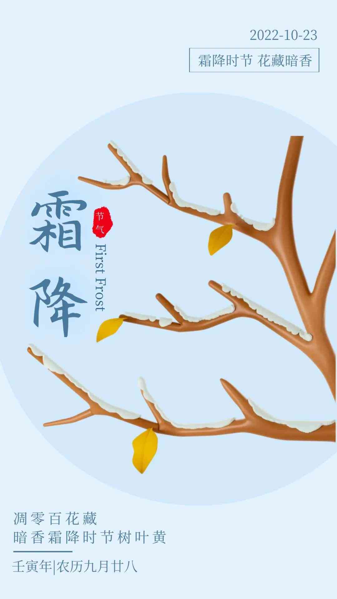 《闪闪语录》全集收录：经典台词、人物金句与深度解读