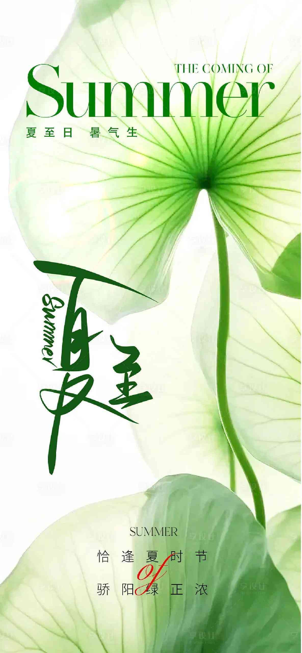 高效文案创作必备：2023最新热门软件盘点，解决各类写作难题