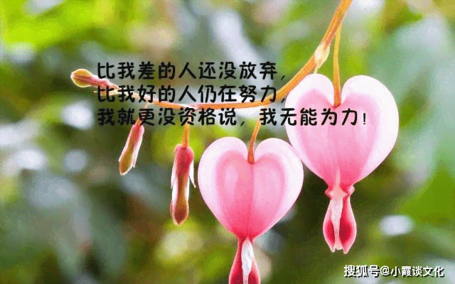 精选励志语录文案短句：涵人生感悟、情感表白、职场激励等多领域短语汇编