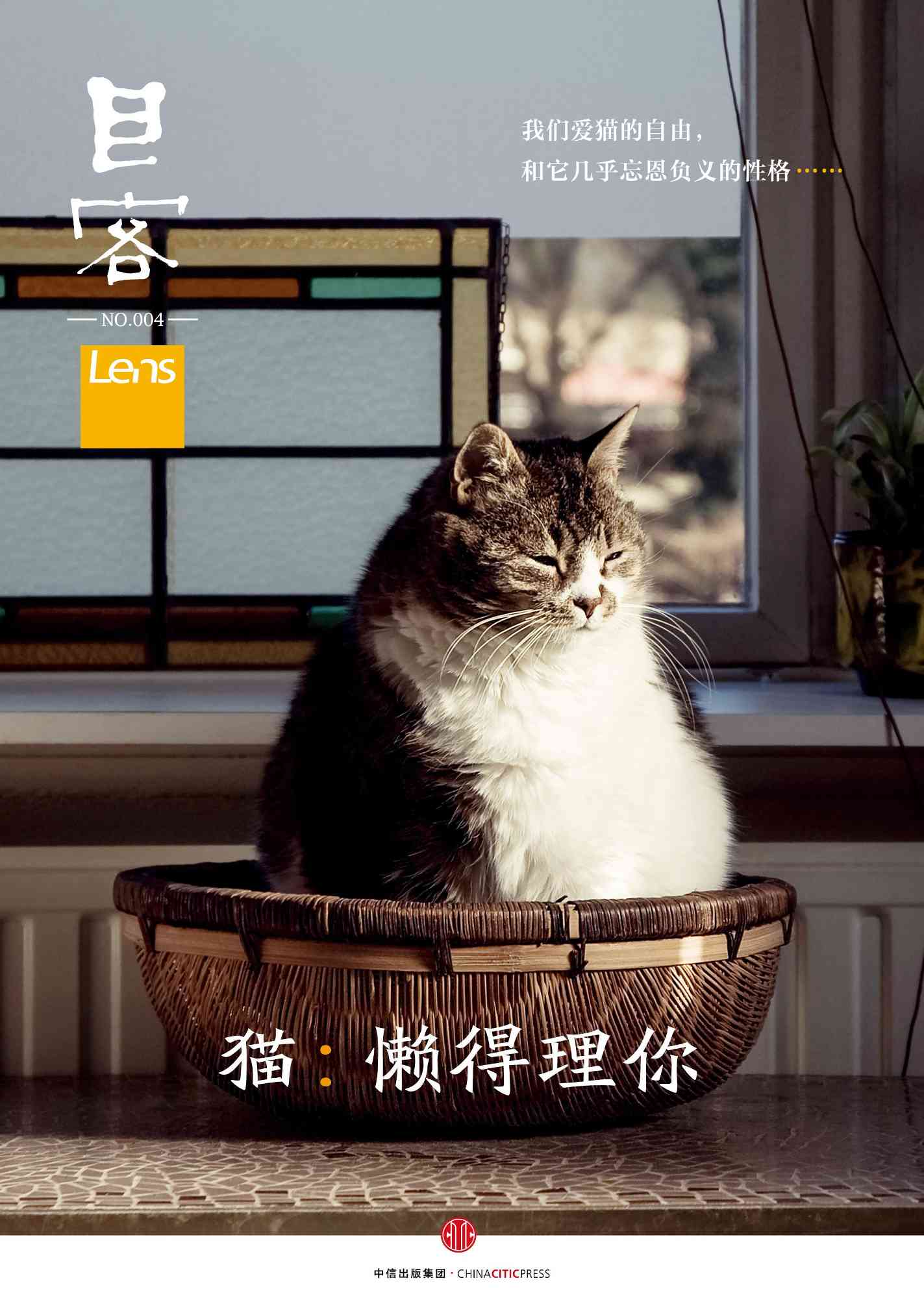 猫AI创作：打造猫创作的原声与猫创作，探索AI创作猫新境界