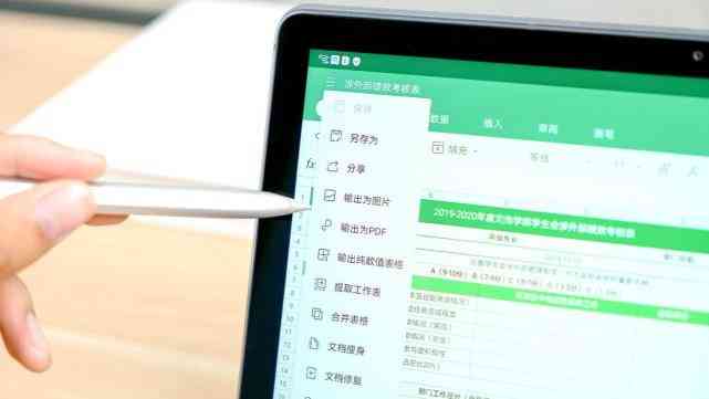 wps会员可以做什么：使用哪些功能、有哪些权益及其实用性解析