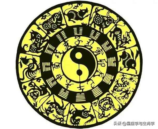 探索兔子的奥秘：400字兔子作文创作指南
