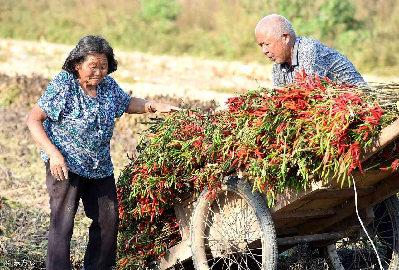 '智能AI辅助写作：实践报告一键在线生成工具'