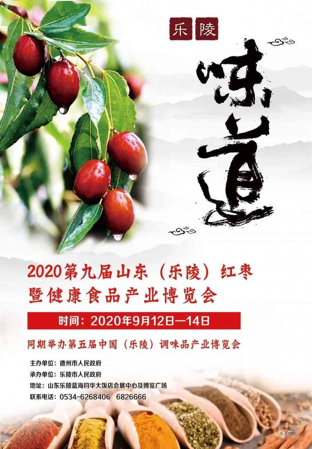 山东枣AI创作中心官网及地址查询与位置信息
