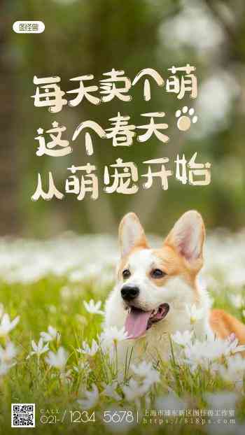 发和狗狗有关的朋友圈感人文案：如何撰写配文及发布技巧