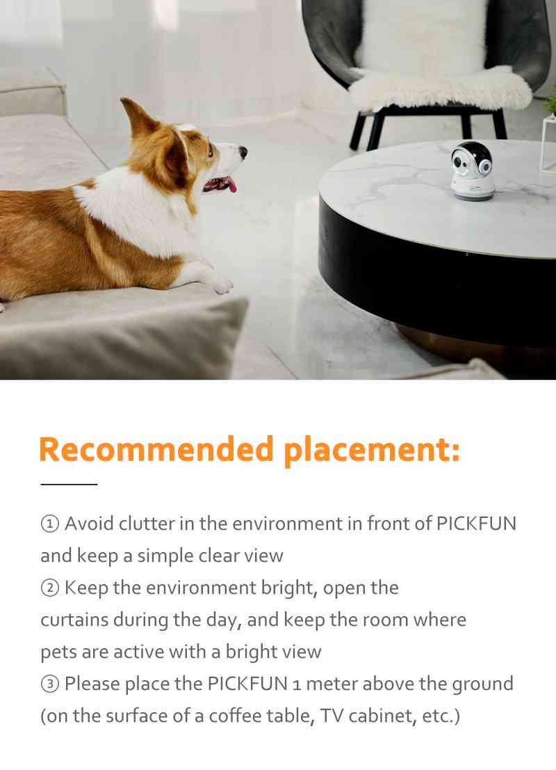 Pet Pup AI Transforms into Creative Short Sentences: English Edition