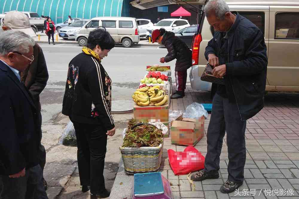 大学生网络作文抄袭：检测技术能否洞察剽窃行为》