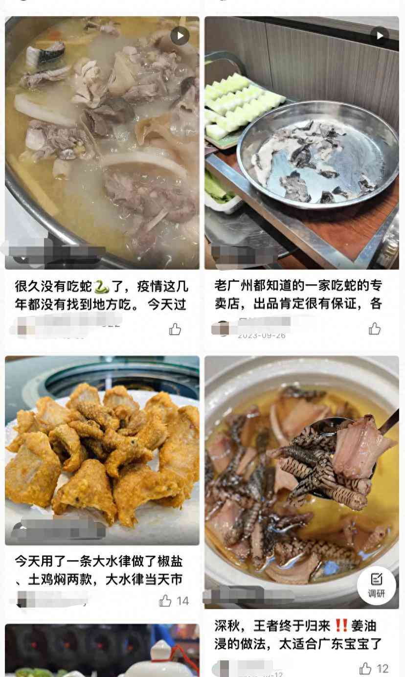 ai直播团购套餐文案怎么做：打造直播团购平台高效文案攻略