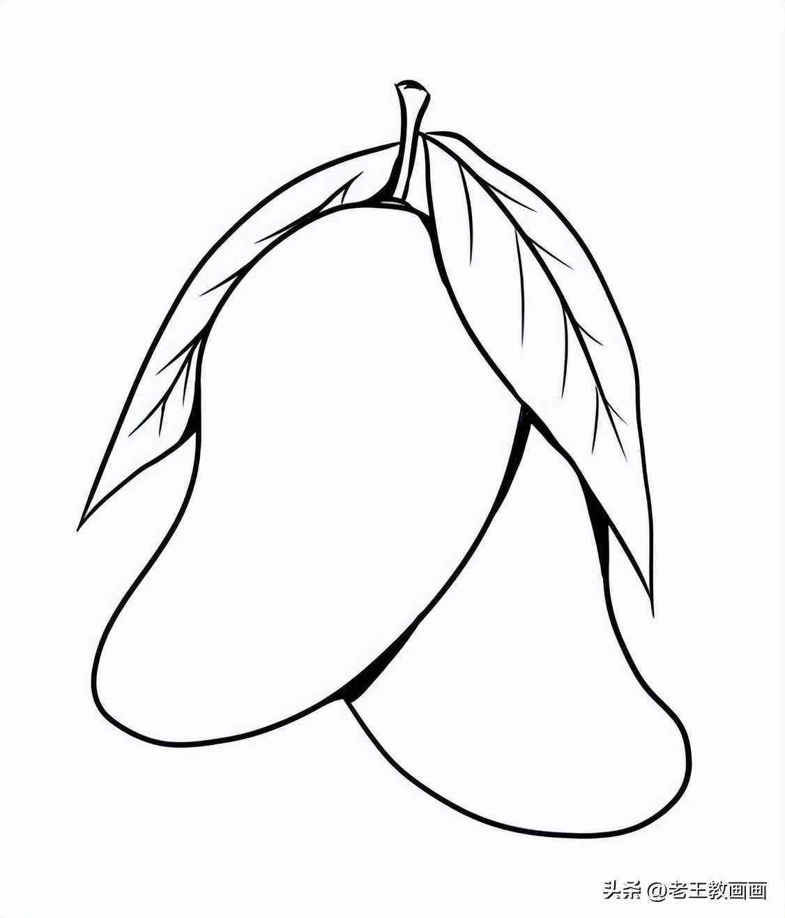水果插画设计说明：创意线稿范例与模板汇编