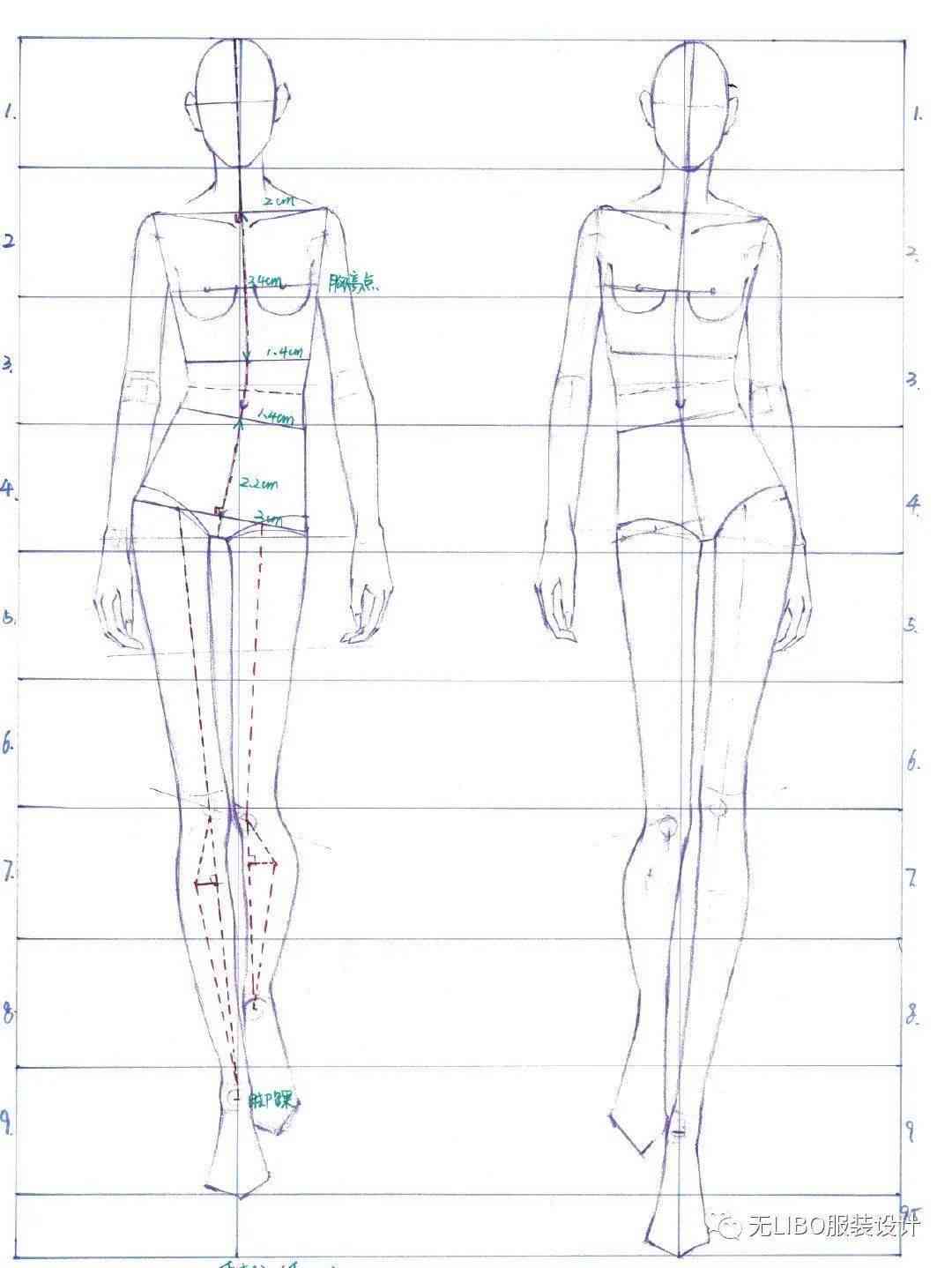 人体模特动态线稿教程：动作、比例与细节解析全攻略