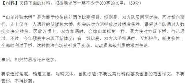 彩云小议：综合评价与写作解析，深度简介及小译技巧探讨