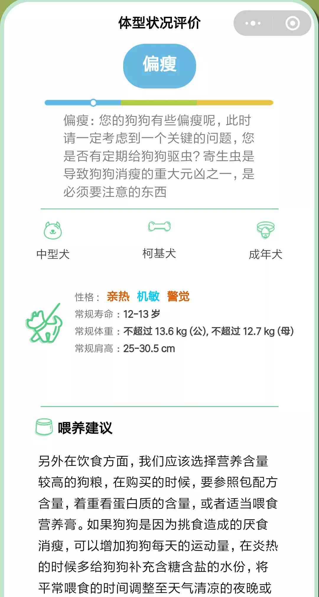 ai小人体检报告