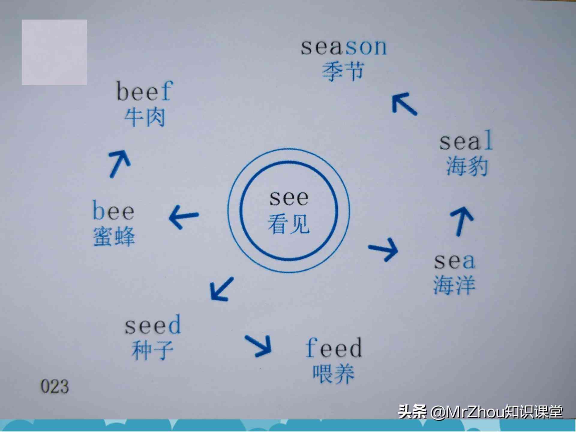 大学生的总结报告：写作指南与范文，个人总结800字至3000字全攻略