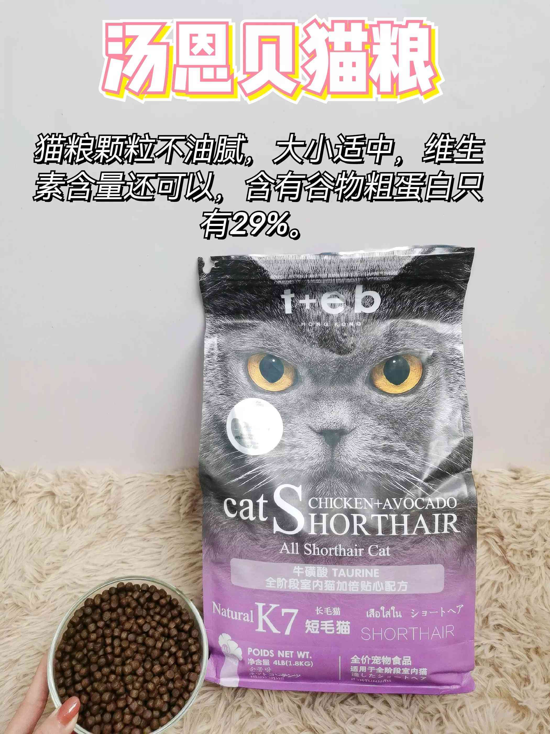 大学生的总结报告：写作指南与范文，个人总结800字至3000字全攻略