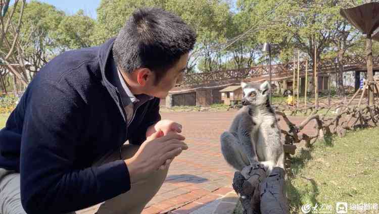 文案成片手机AI软件：安装与免费