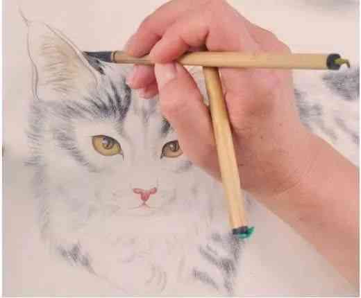 猫咪绘画艺术：掌握画猫的技巧与灵感