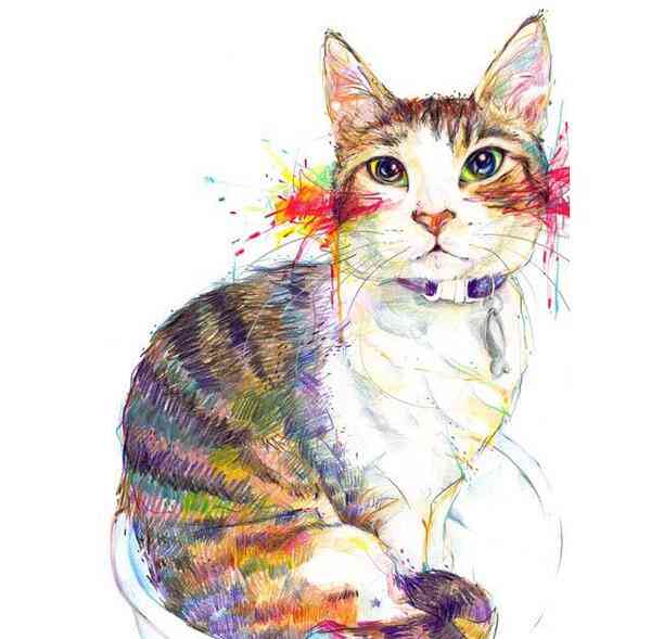 猫咪绘画艺术：掌握画猫的技巧与灵感