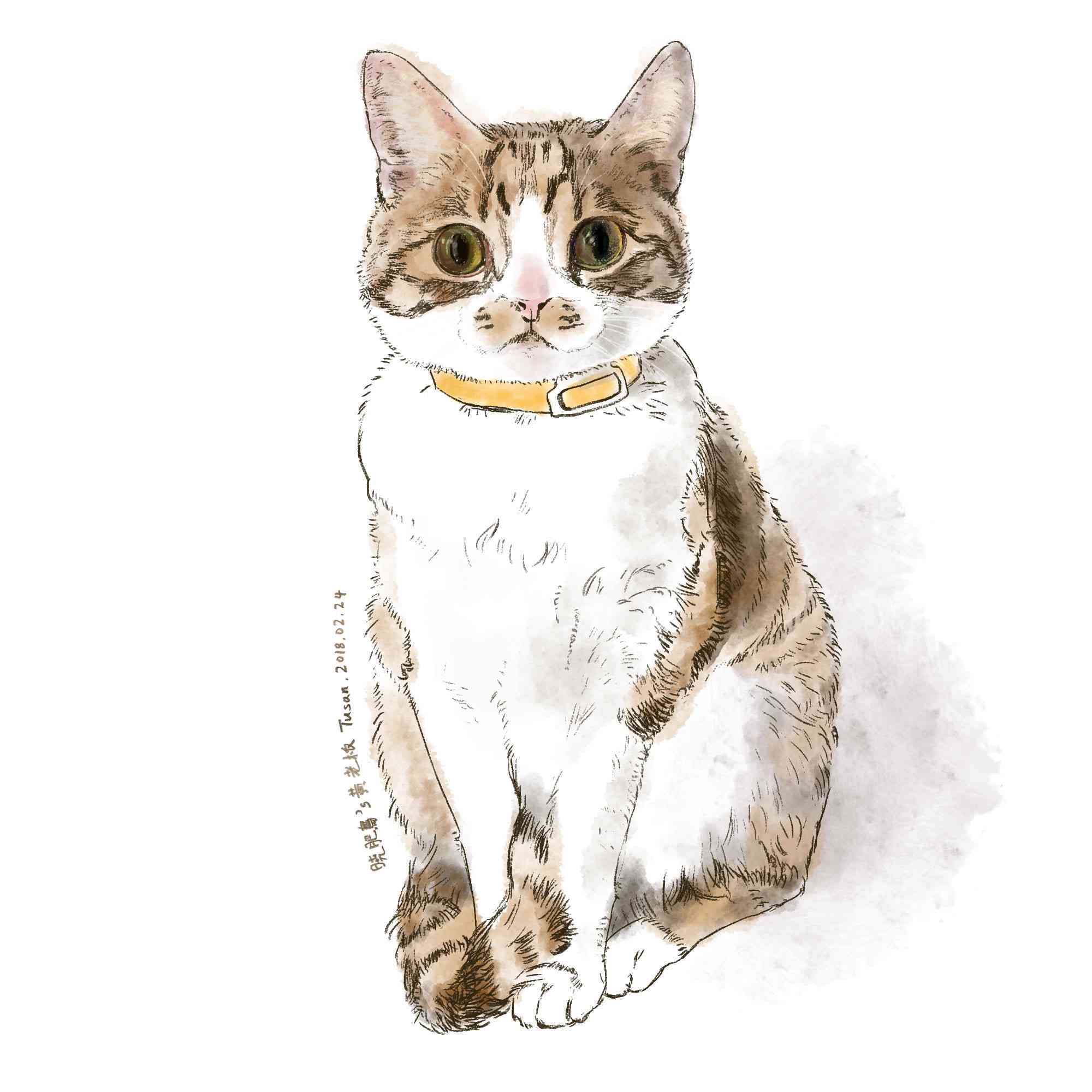 晒猫咪ai绘画文案