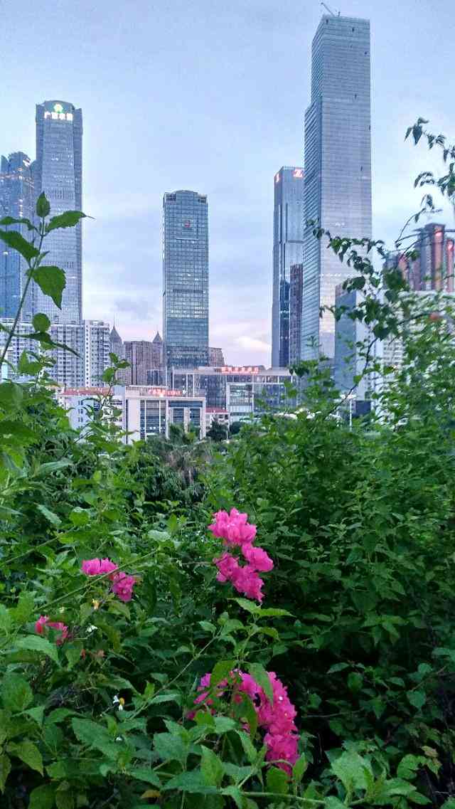 免费AI美景创作工具：一键生成梦幻风光软件