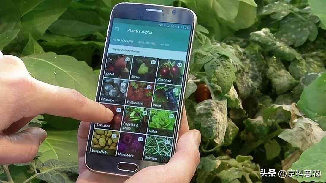 人工智能技术全景解析：AI应用与未来发展深度研究报告范文