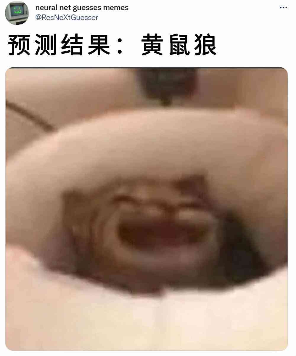 离谱的ai创作