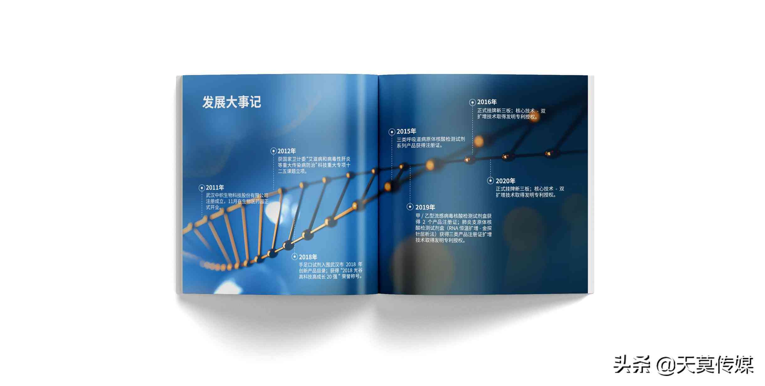 ai如何用文字框填充文案-ai如何用文字框填充文案内容