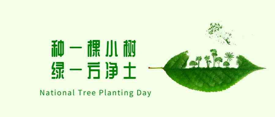 ai绿色头发文案-ai绿色头发文案怎么做
