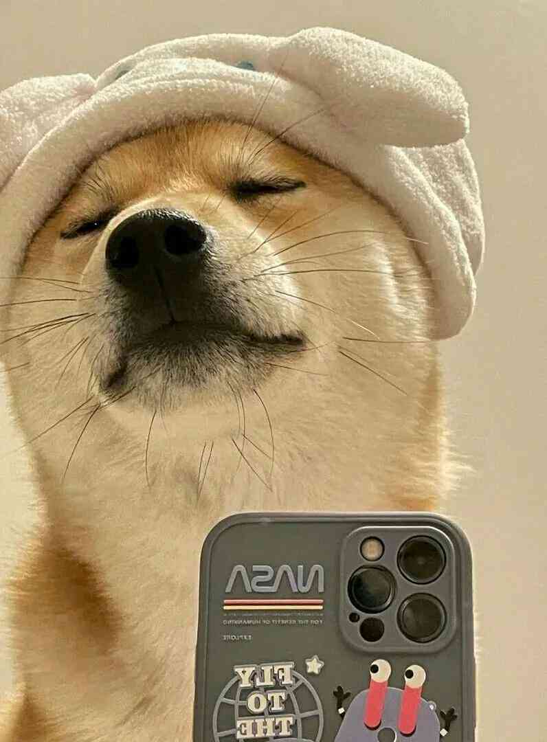 ai人物头像绘画文案-ai人物头像绘画文案怎么写