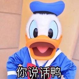 宠物ai变身文案素材-宠物ai变身文案素材图片