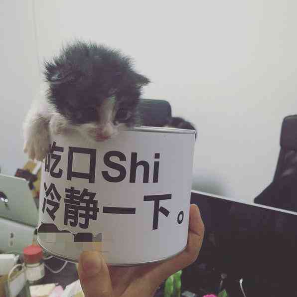 豆星人怎么取消ai文案