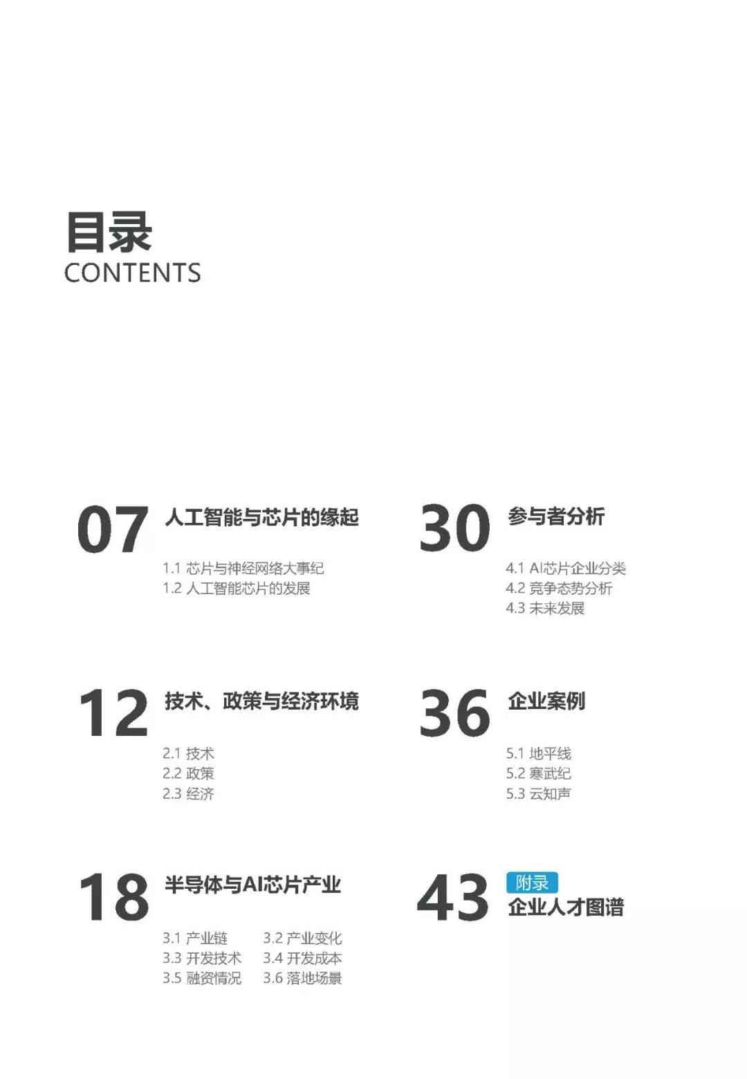 2019ai年度报告