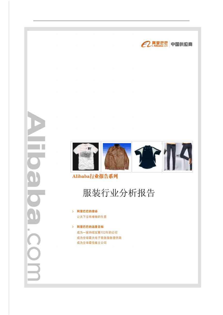 ai服装调研总结报告