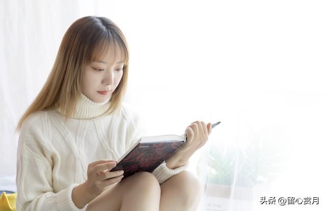 万卷ai和写作猫
