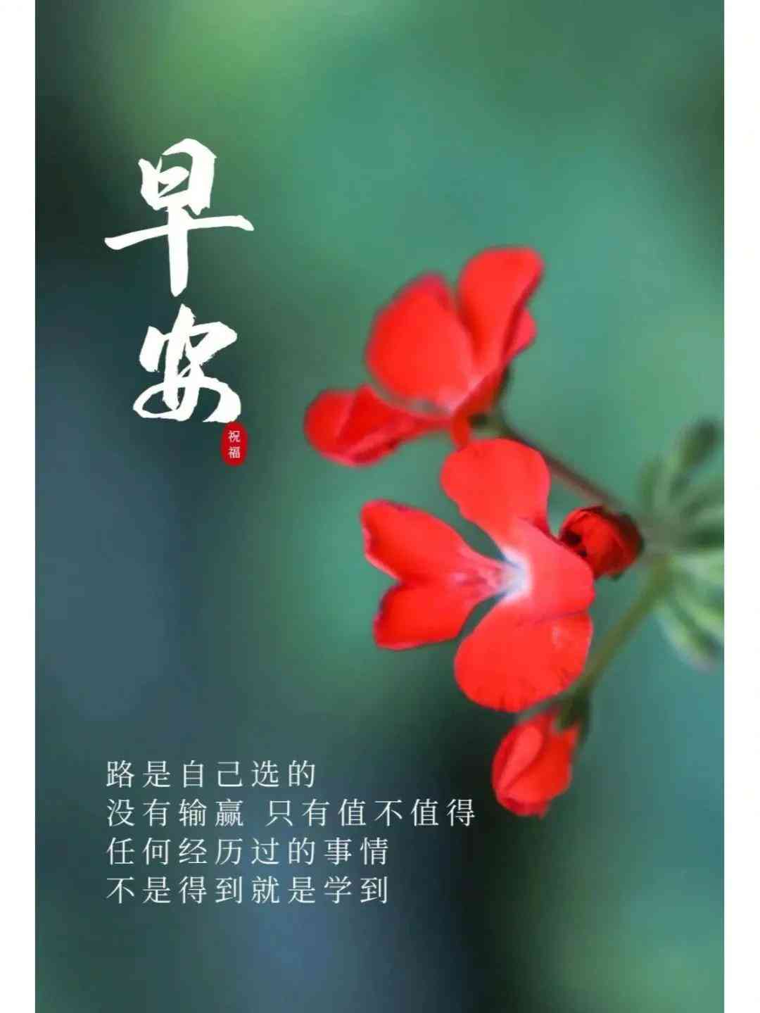 ai自动生成小红书文案网站