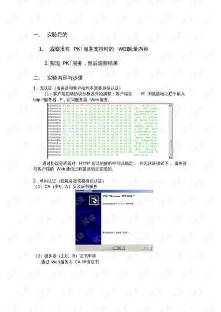 ai漏洞挖掘技术实验报告