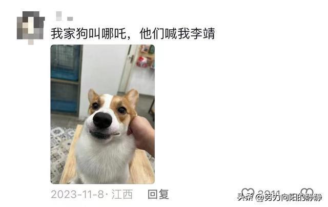 ai脸狗狗文案
