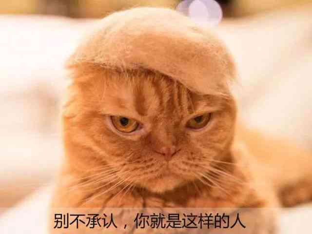 怎么用ai做猫文案动画