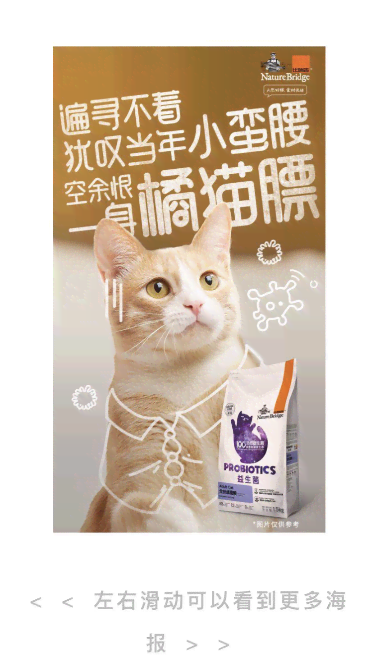 怎么用ai做猫文案动画