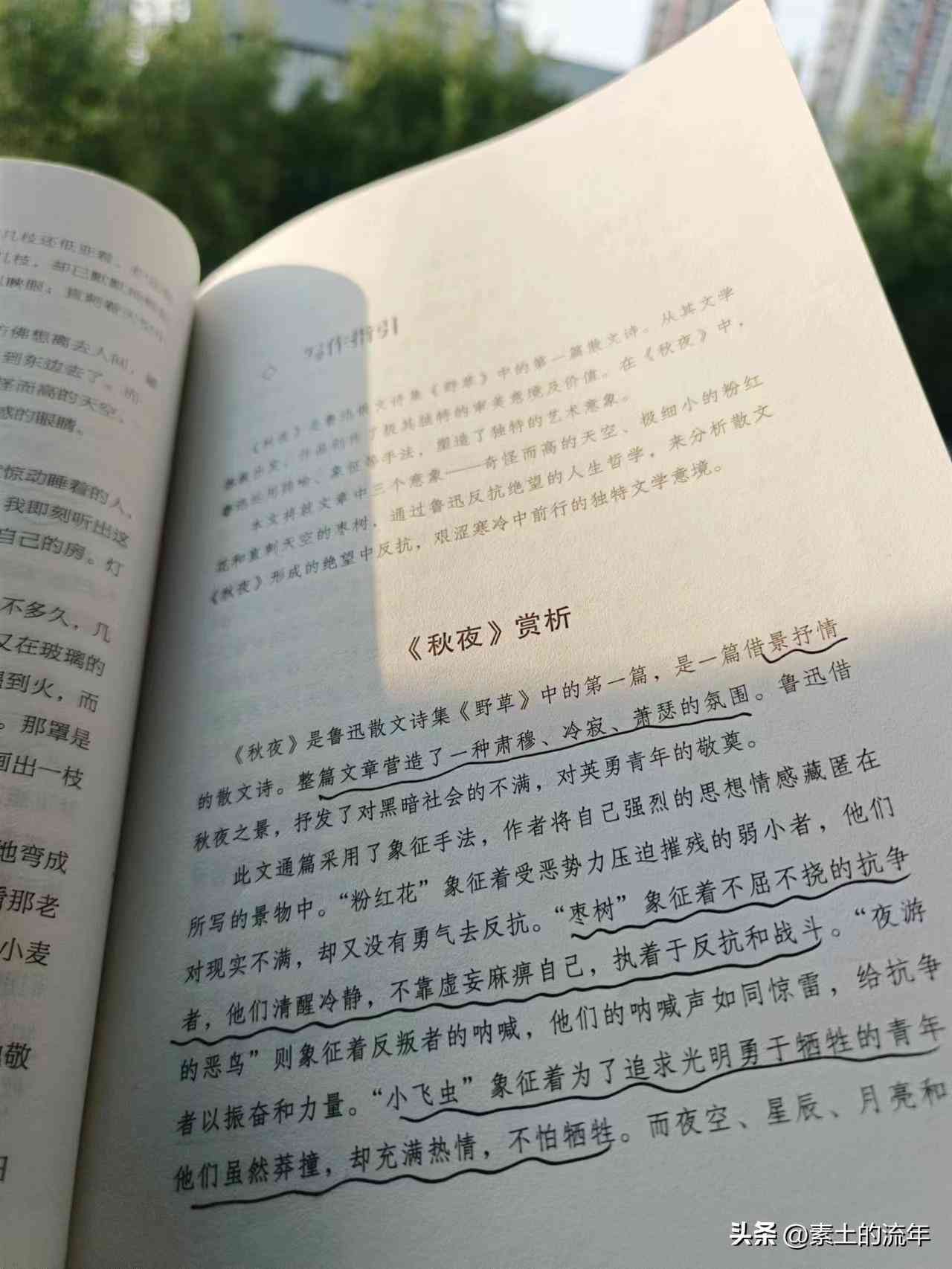 ai智能写作大师怎么使用