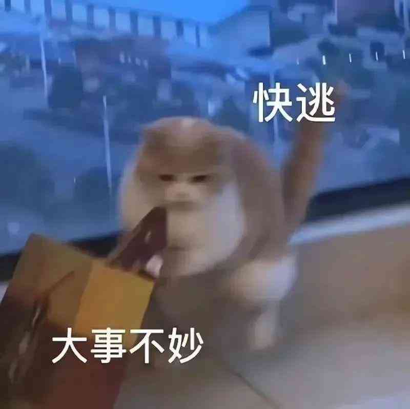 装饰ai监控文案简短